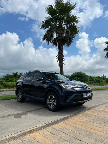 Toyota RAV4 Hybrid 2018 — convertible, beach wagon, minivan