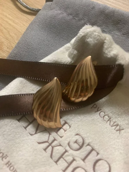 Серьги серебро позолота — chambered nautilus