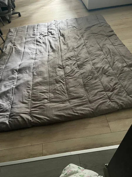 Одеяло, диван или спальный мешок — quilt, studio couch, sleeping bag