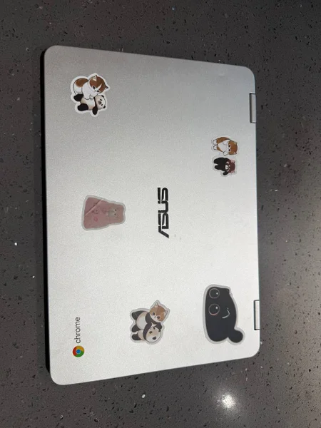 ASUS Chromebook Flip C302 — switch, safe