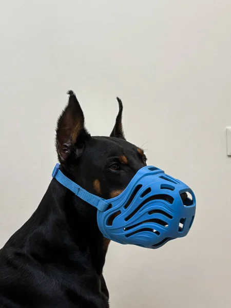 Рулетка флекси хл для собак до 80 кг, 8 метров — muzzle