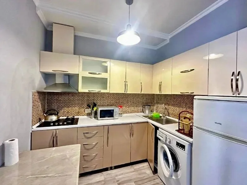 Квартира 1+1, 50 кв.м, Пиросмани 18 — microwave, washer, dishwasher