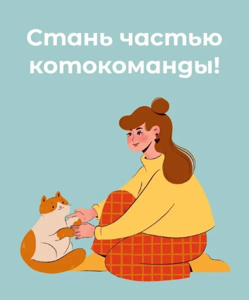 Помощники в команду волонтёров по помощи бездомным котикам — jigsaw puzzle