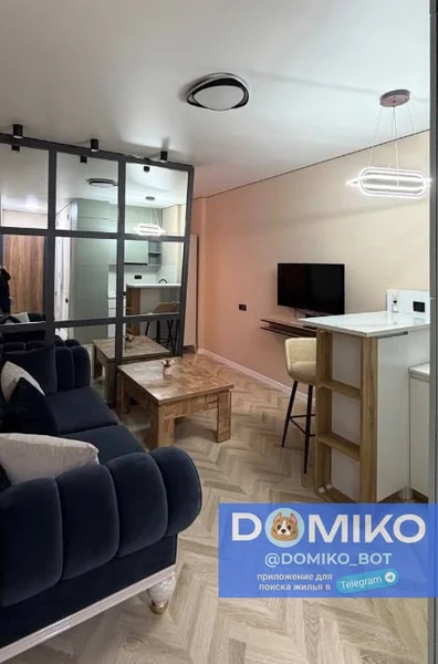 Квартира 1+1, 35 м², Пиросмани, 17 — home theater