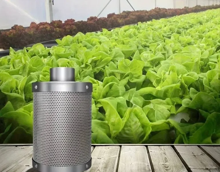 Гроубокс 160x60x60 с комплектом оборудования и удобрениями — soap dispenser, head cabbage, pot