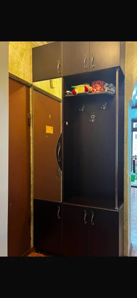 Шкаф в прихожей — safe, refrigerator