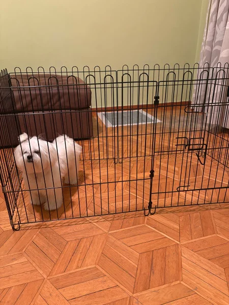 Клетка для собак — Lhasa, Samoyed