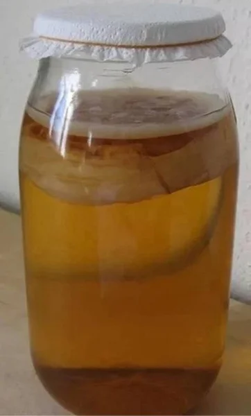 Чайный гриб — eggnog, barrel, beer glass