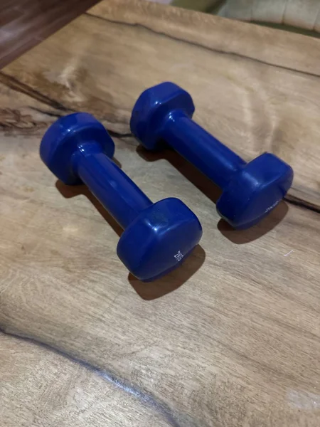 Гантели по 2 кг — dumbbell