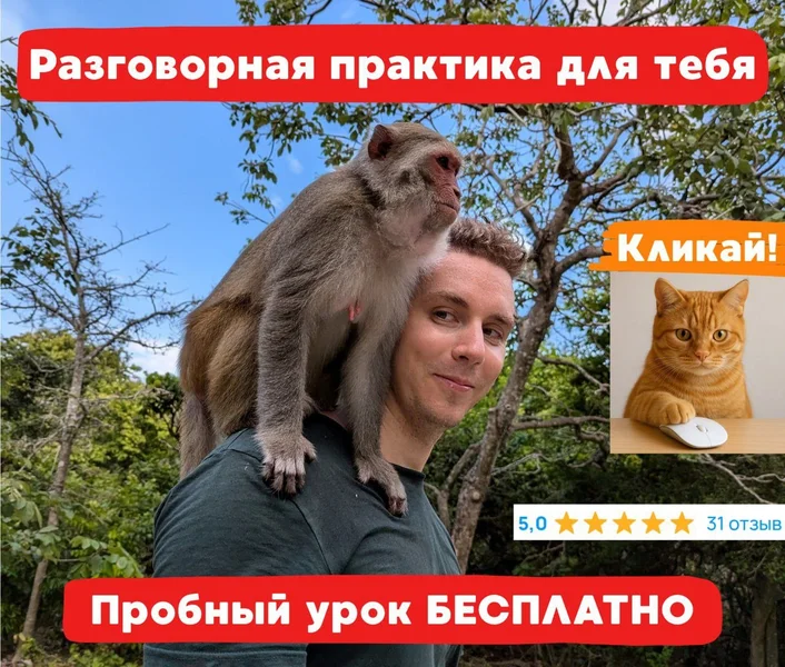 Уроки разговорного английского языка — macaque, patas