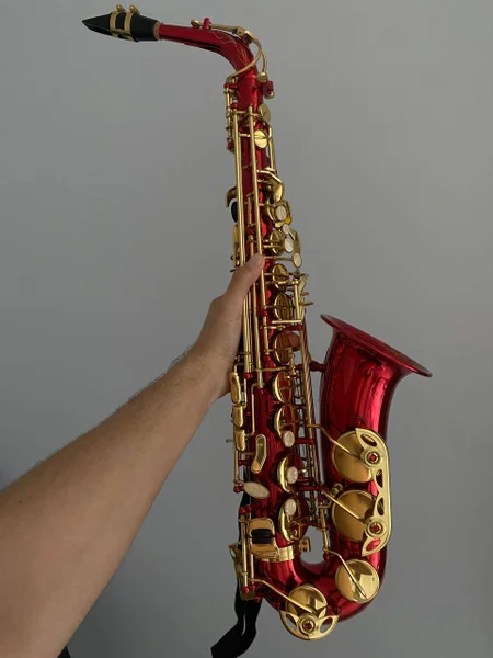 Альтсаксофон с чехлом, ремнями и тростями — sax