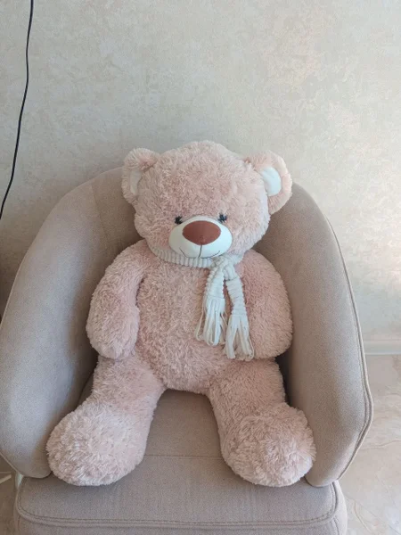 Мягкий медведь — teddy