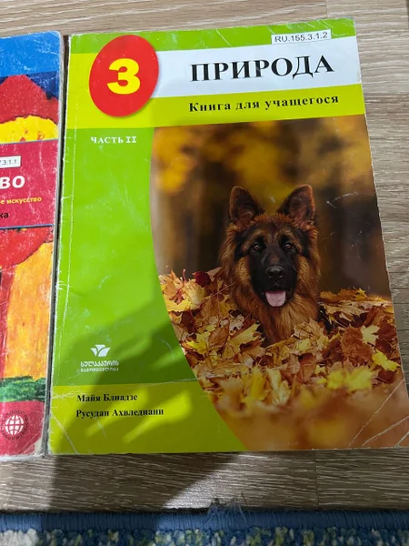Щенок немецкой овчарки/малинуа — German shepherd, malinois