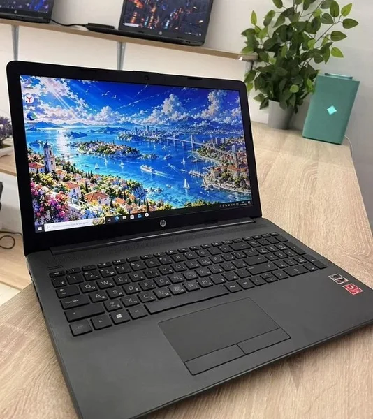 Ноутбук HP 255 G7 — notebook