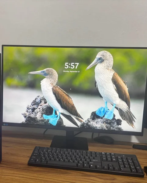 Монитор Samsung ViewFinity S7 32″ 4K