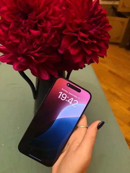 iPhone 15 Pro 128GB Black — perfume, mouse
