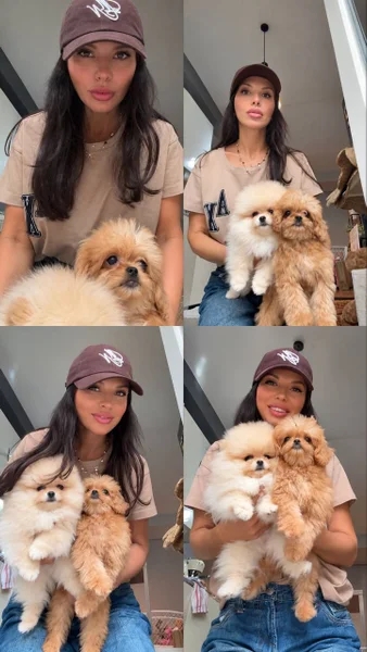 Щенки чистокровных пород (Мальтипу — Pekinese, Pomeranian