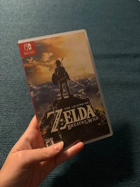 Картридж Zelda: Breath of the Wild для Nintendo Switch — packet, book jacket