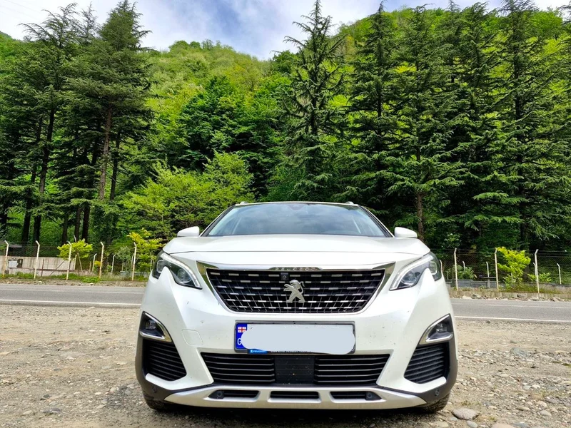 Peugeot 3008 GT — grille, convertible