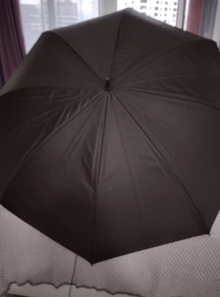 Зонт и перо — umbrella