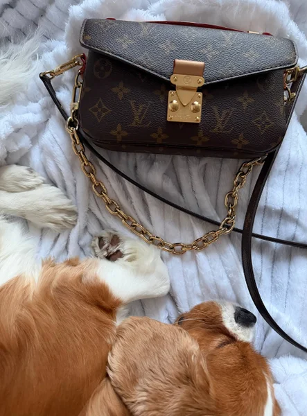 Сумка Louis Vuitton Pochette Métis East-West Monogram — purse