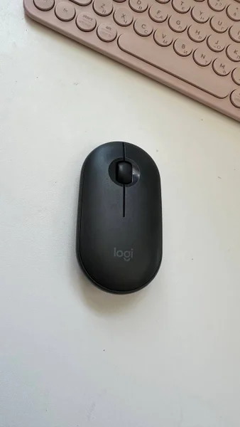 Вентилятор для ноутбука внешний — mouse