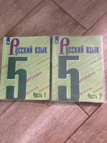 Учебник Русский язык 5 класс — carton, Band Aid, packet