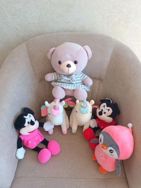 Мягкие игрушки — teddy