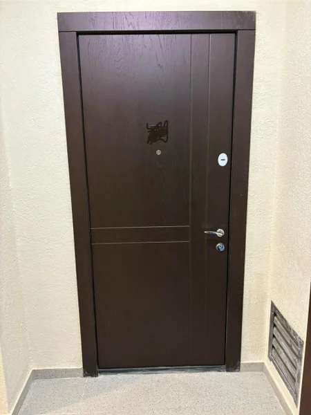 Входная металлическая дверь — safe, medicine chest, wardrobe