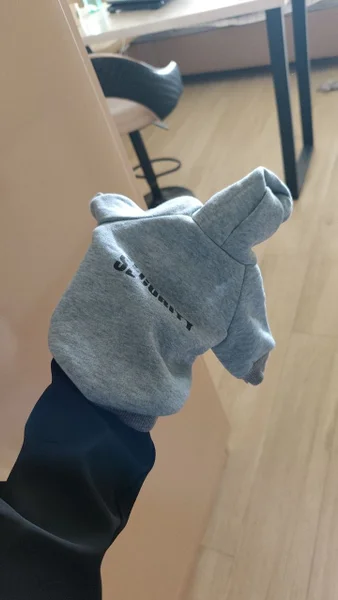 Худи для пуделя / маленькой собаки — diaper, mitten, sweatshirt