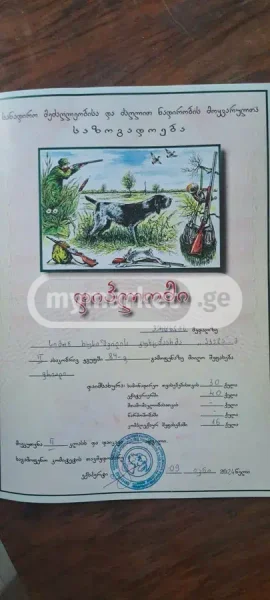 Собака — menu