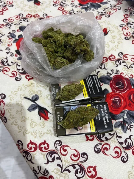 Капуста кочанная — head cabbage