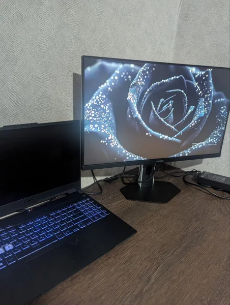 Игровой монитор Xiaomi P24FDA-RGGL 23.8" 200Hz — desktop computer, monitor, screen