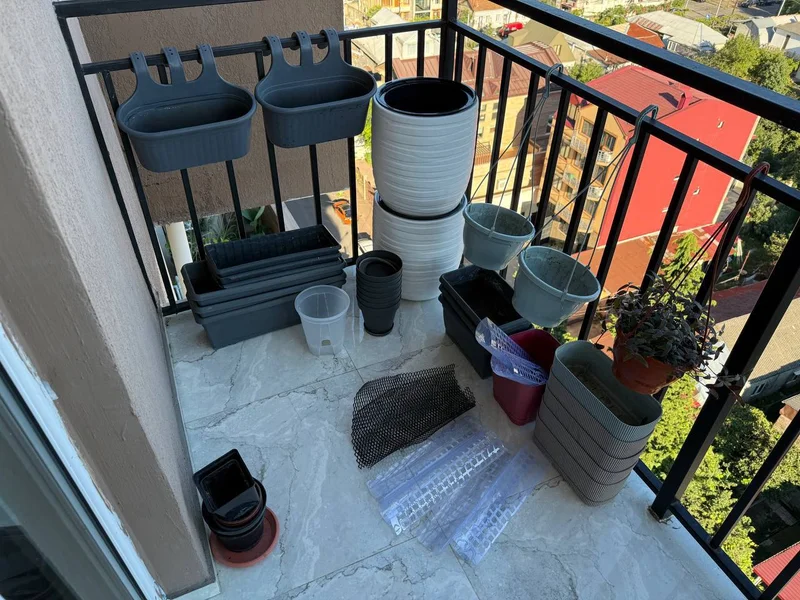 Комнатные растения — patio