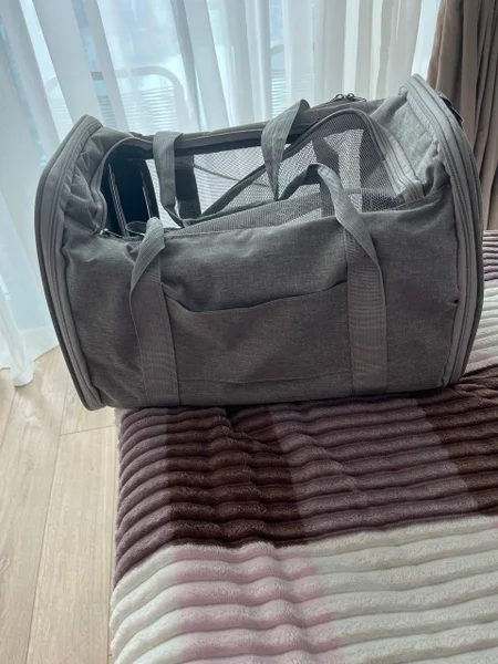 Переноска для кота — bulletproof vest, mailbag, backpack