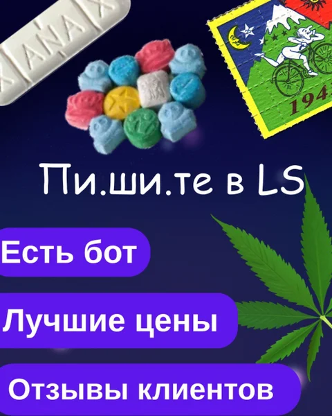 Ноутбук — book jacket, laptop