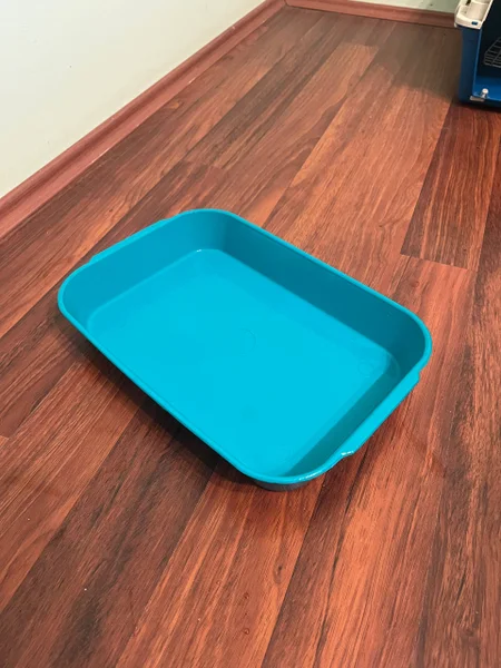 Лоток с низкими бортиками — tray