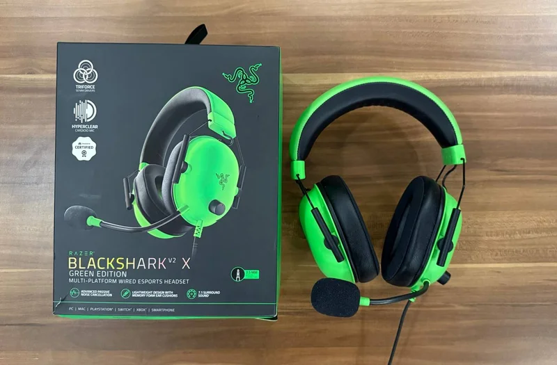 Razer Blackshark V2 — iron, mouse