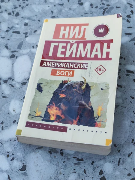 Книга Нил Гейман Американские боги — book jacket