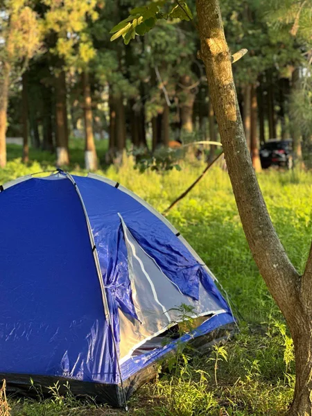 Палатка 2-местная — mountain tent