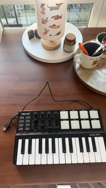 Миди-клавиатура Worlde Panda Mini — computer keyboard, mouse