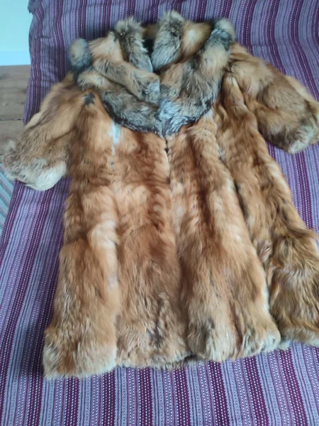 Шуба из меха огненной лисицы — cocker spaniel, fur coat, soft-coated wheaten terrier