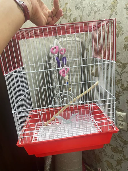 Корзина для покупок — shopping basket, shopping cart