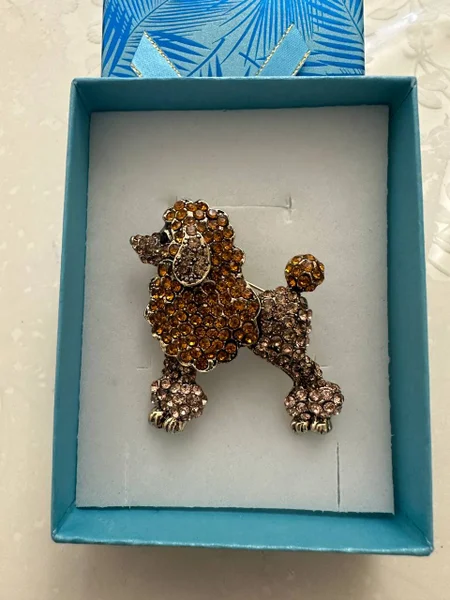Брошь в коробке — hair slide, loggerhead, wall clock