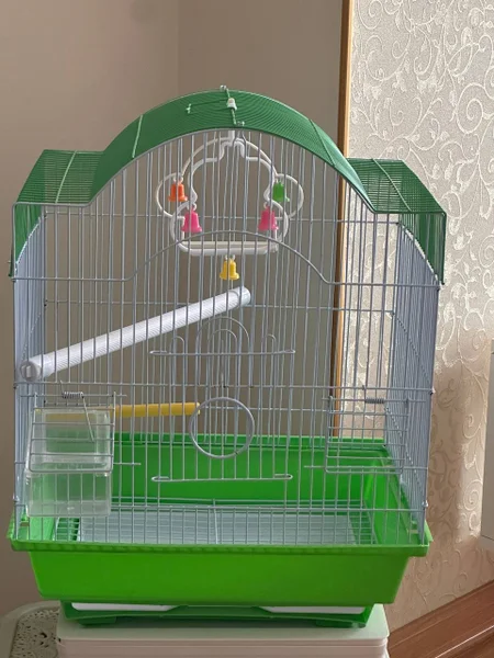 Ракетка — fire screen, racket