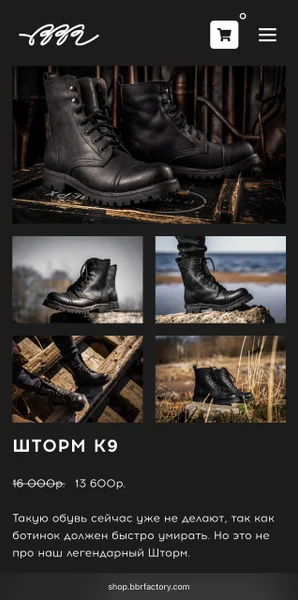 Тактические ботинки BBR «Шторм K9»