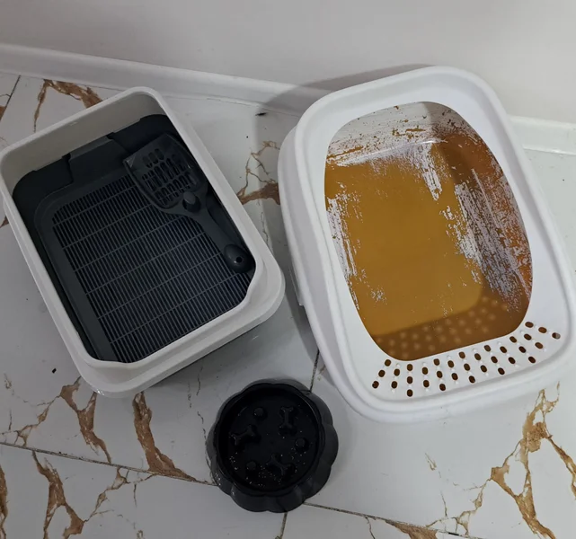 Лотки для кошек и миска