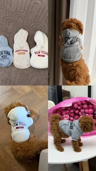 Сумка-переноска — teddy, sock