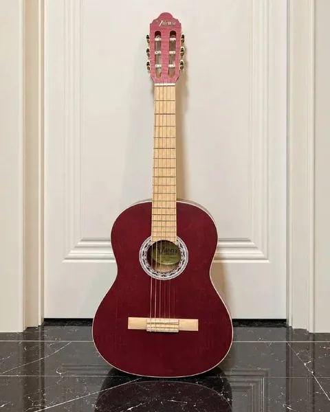 Классическая гитара Valencia VC354WR 4/4 с чехлом