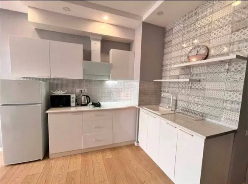 Квартира 1+1, 50 м² — microwave, plate rack